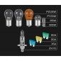 Ampoule à incandescence FORMULA 1 SB100 Ampoule à incandescence FORMULA 1 SB100